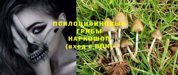 метадон Богородицк