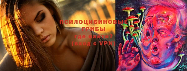 ГАЛЛЮЦИНОГЕННЫЕ ГРИБЫ Белоозёрский