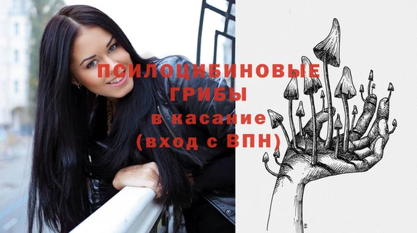 прущая мука Богородск