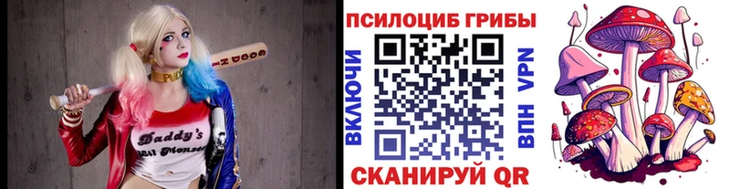 Псилоцибиновые грибы мухоморы Балтийск